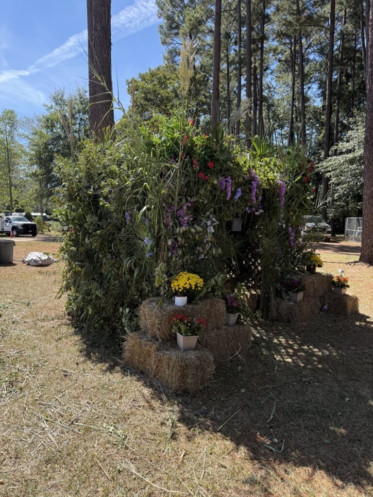 A sukkah covered with freshly cut green branches and colorful flowers beneath tall pine trees.